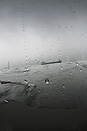Kowloon. Tsim Sha Tsui , 2009