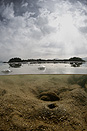 New Territories. North of Sai Kung, 2010