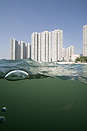 Hong Kong Island. From a Boat near Aberdeen, 2010