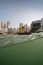 Hong Kong Island. From a Boat near Sheung Wan, 2010