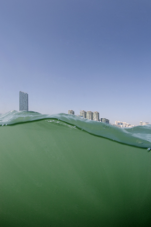 Kowloon. From a Boat in Kowloon Bay, 2009