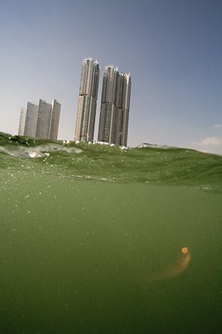 Hong Kong Island. From a Boat near Shau Kei Wan, 2010