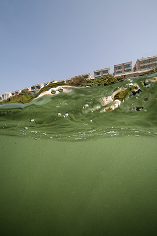 Hong Kong Island. From a Boat in Stanley Bay, 2010