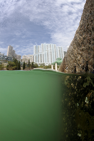 Hong Kong Island. Repulse Bay, 2009