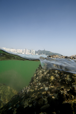 Hong Kong Island. Typhoon Shelter, Shau Kei Wan, 2010