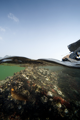 Hong Kong Island. Typhoon Shelter, Shau Kei Wan, 2010