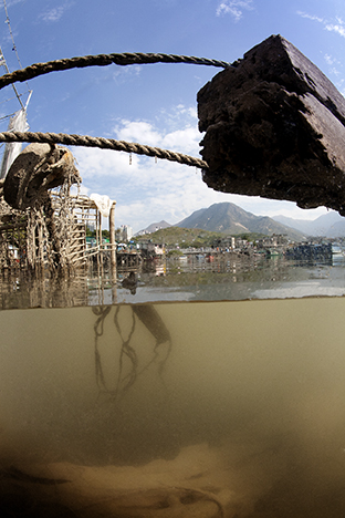 New Territories. Lantau Island, 2009