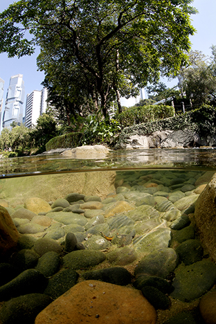 Hong Kong Island. Hong Kong Park, 2009