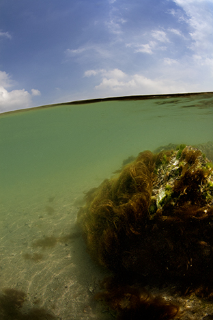 New Territories. Sai Kung North, 2010