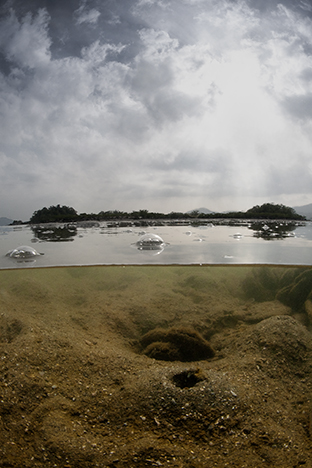 New Territories. Sai Kung North, 2010