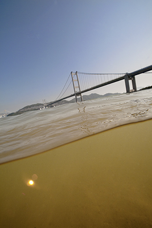 New Territories. Ma Wan, 2010