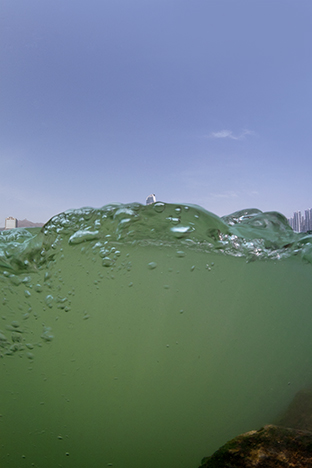 New Territories. Tsing Yi, 2009