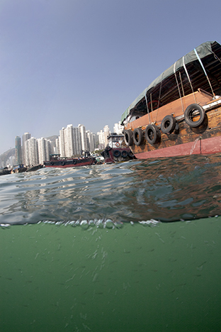 Hong Kong Island. Ap Lei Chau, 2009