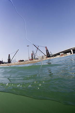 Kowloon. From a Boat in Victoria Harbour, 2009