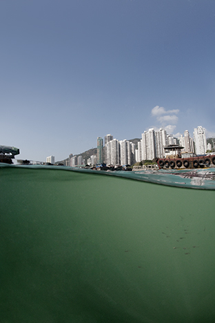 Hong Kong Island. Ap Lei Chau, 2010
