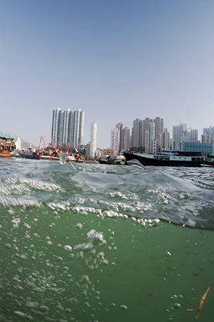 Hong Kong Island. Aberdeen, 2009