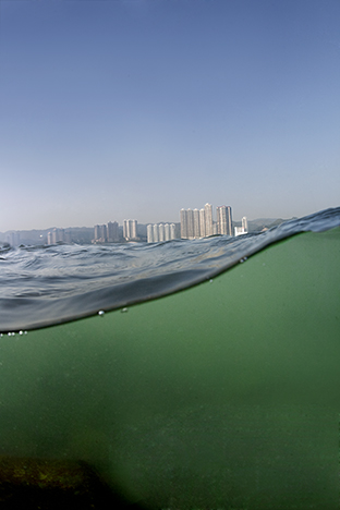 New Territories. Ma Wan, 2010