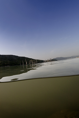 New Territories. Sunny Bay, Lantau Island, 2009