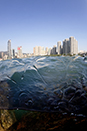 Hong Kong Island. Aberdeen, 2009